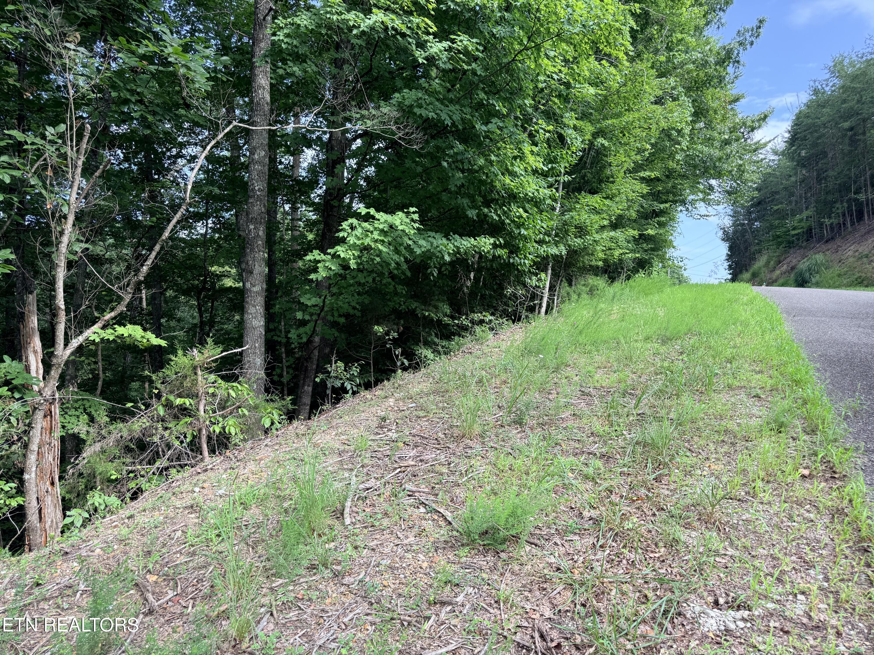 Lot 128 Islandview Point Sharps Chapel TN 37866