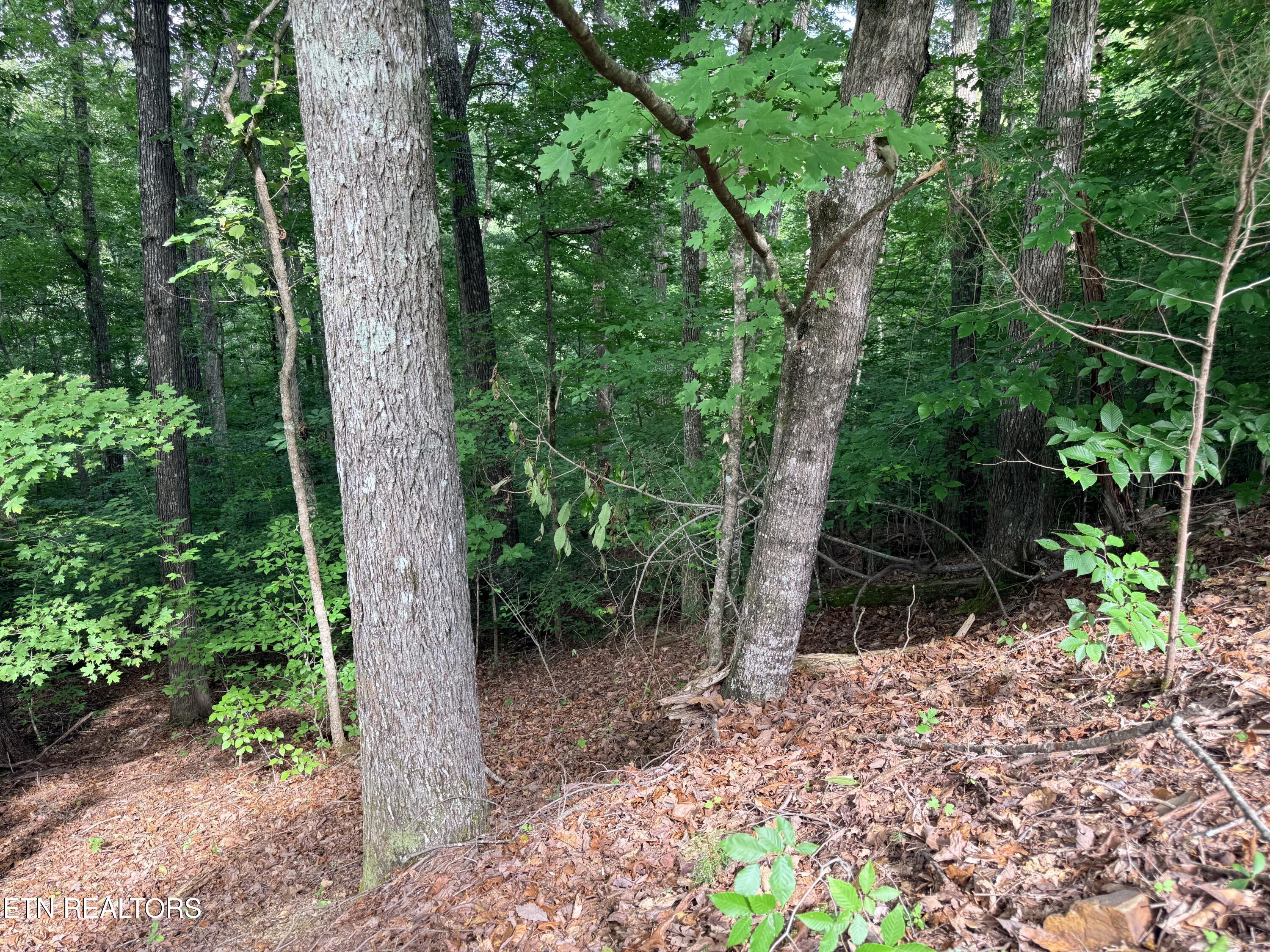 Lot 128 Islandview Point Sharps Chapel TN 37866
