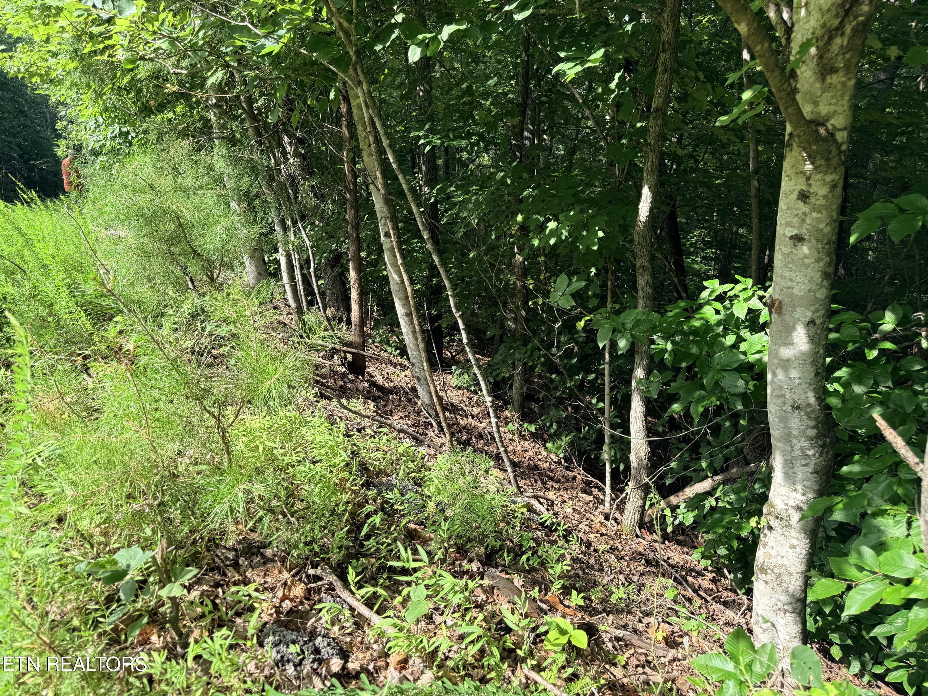 Lot 128 Islandview Point Sharps Chapel TN 37866