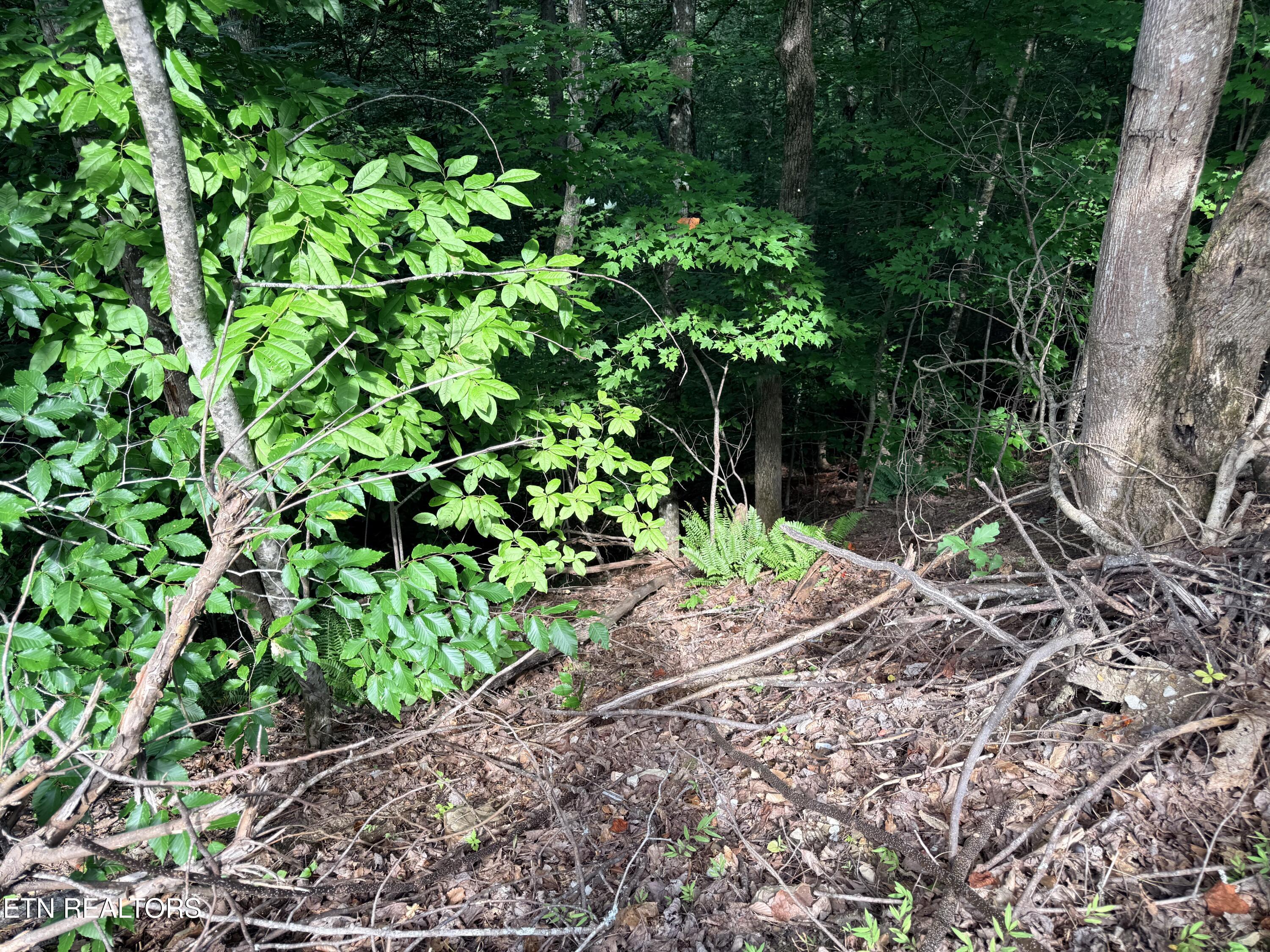 Lot 128 Islandview Point Sharps Chapel TN 37866