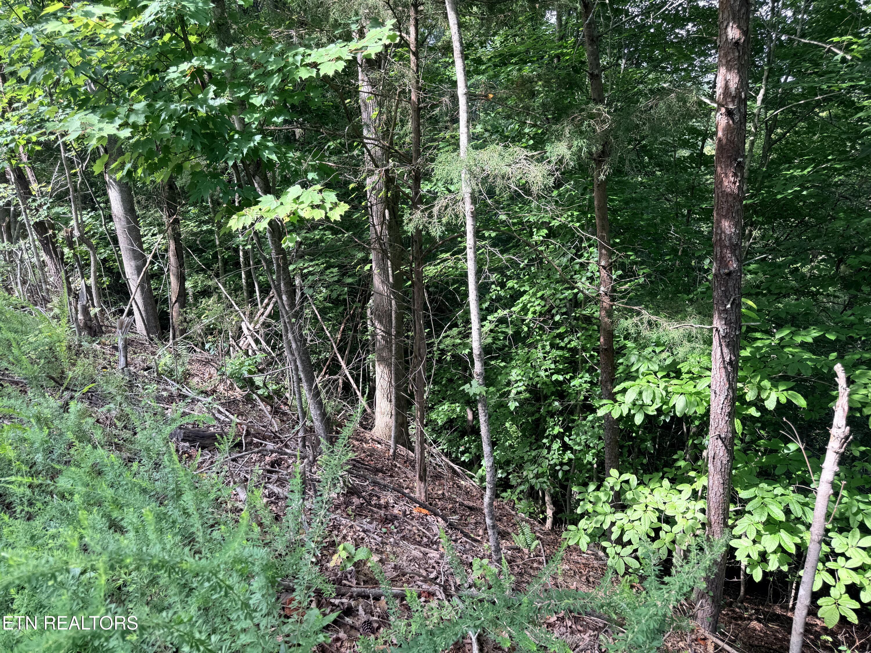 Lot 128 Islandview Point Sharps Chapel TN 37866