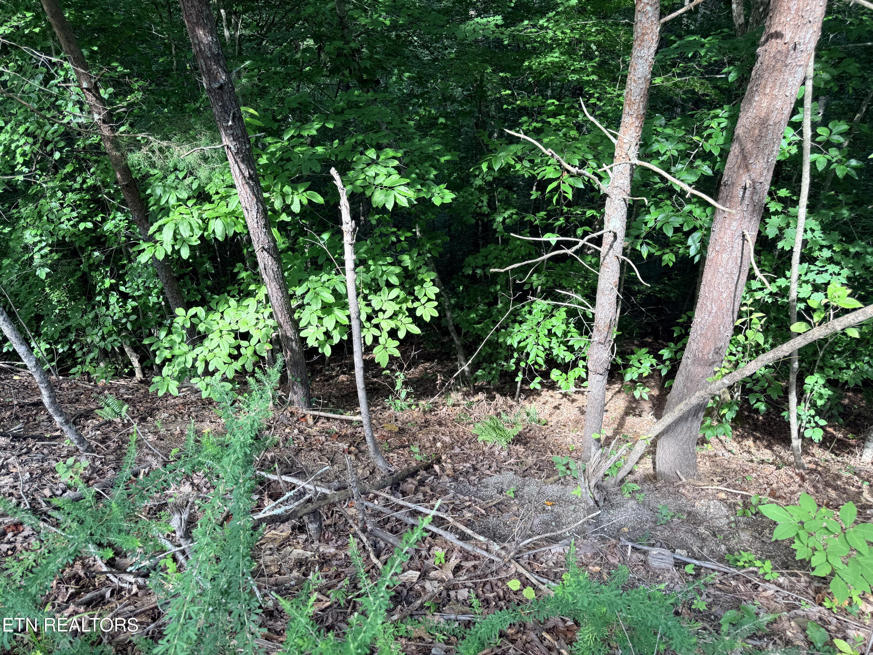 Lot 128 Islandview Point Sharps Chapel TN 37866