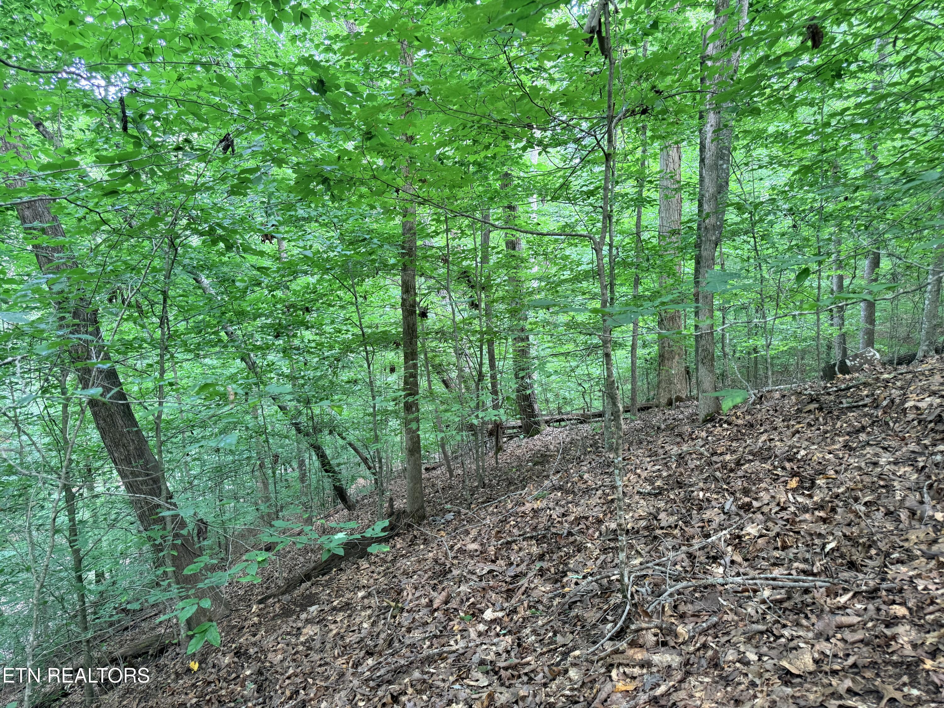 Lot 128 Islandview Point Sharps Chapel TN 37866