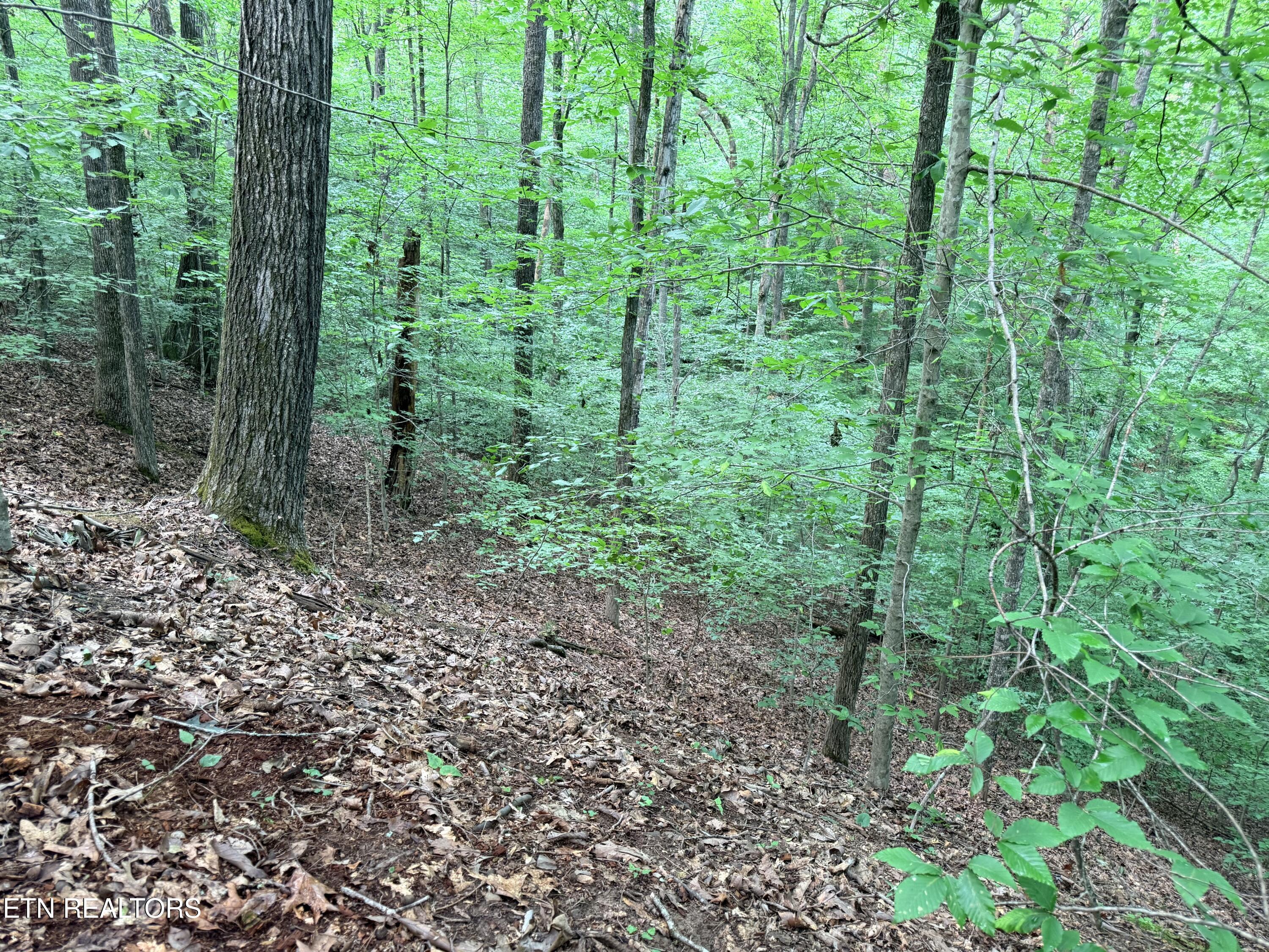 Lot 128 Islandview Point Sharps Chapel TN 37866