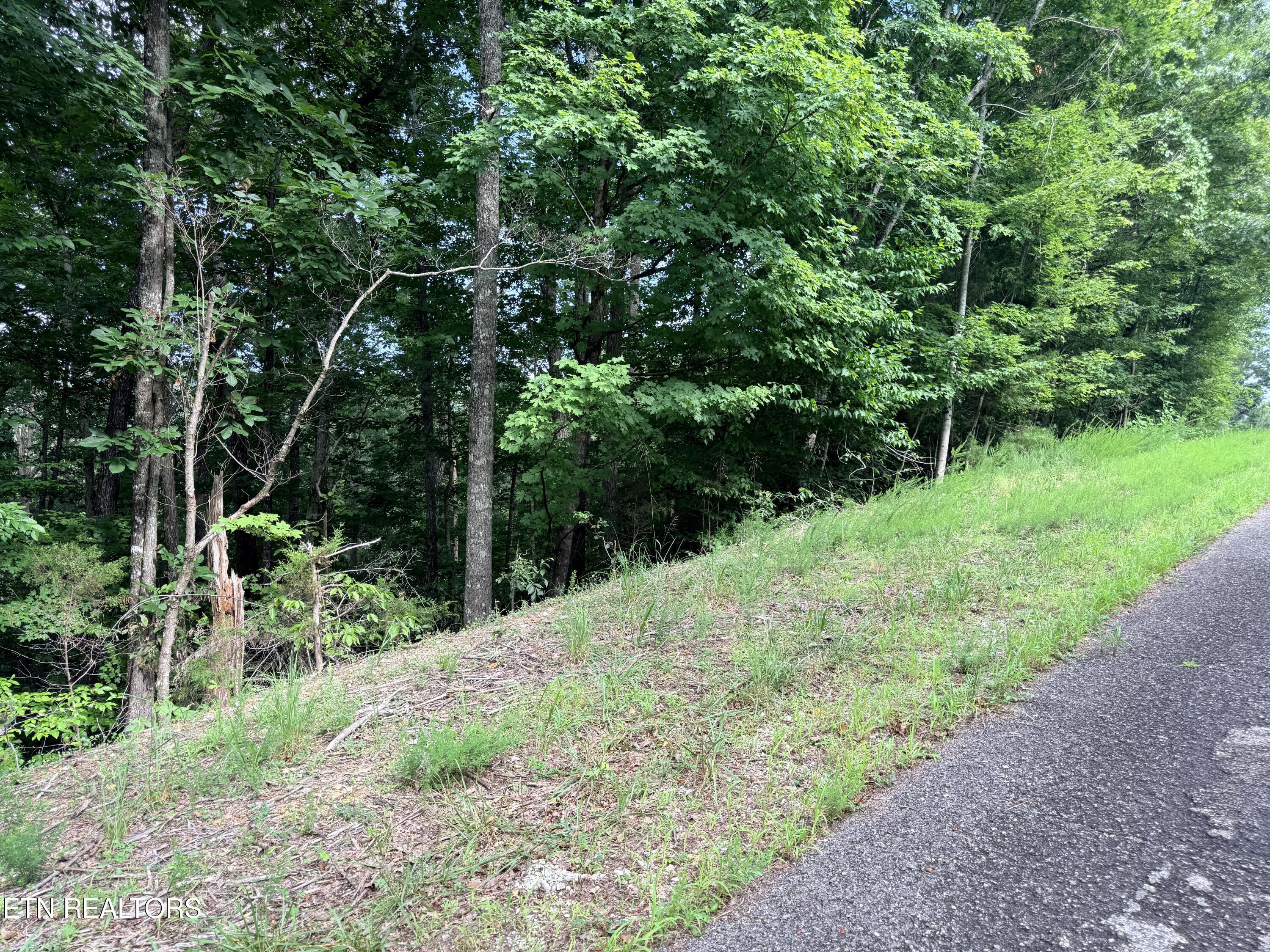 Lot 128 Islandview Point Sharps Chapel TN 37866