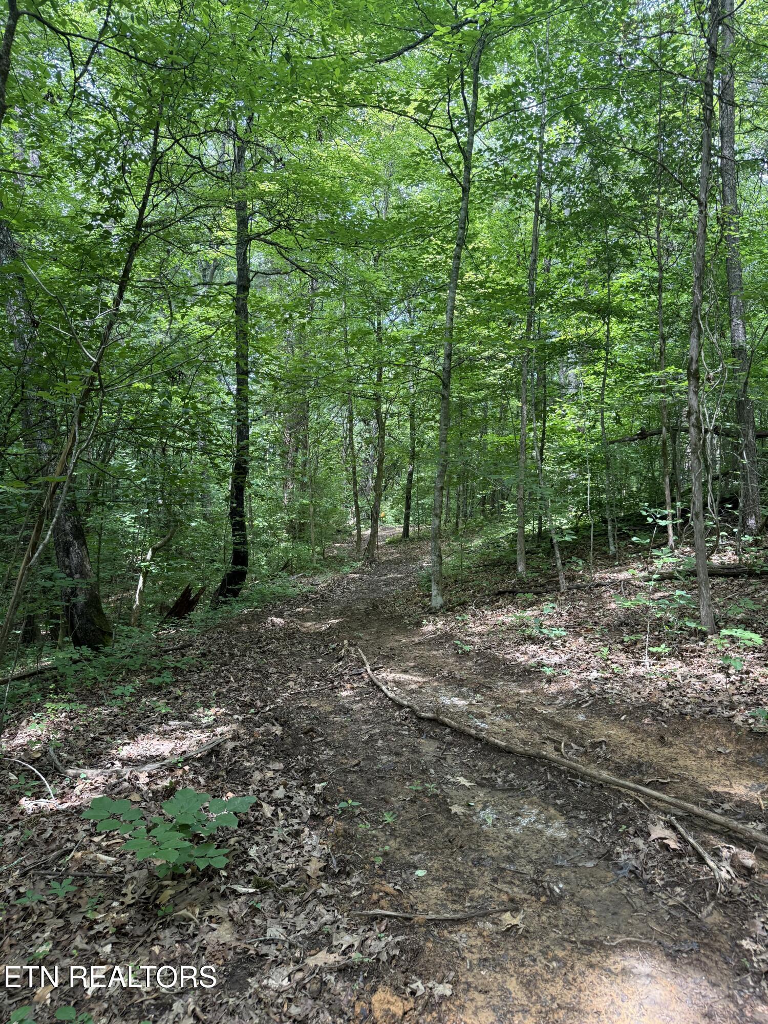 0 Thorngrove Pike Knoxville TN 37914