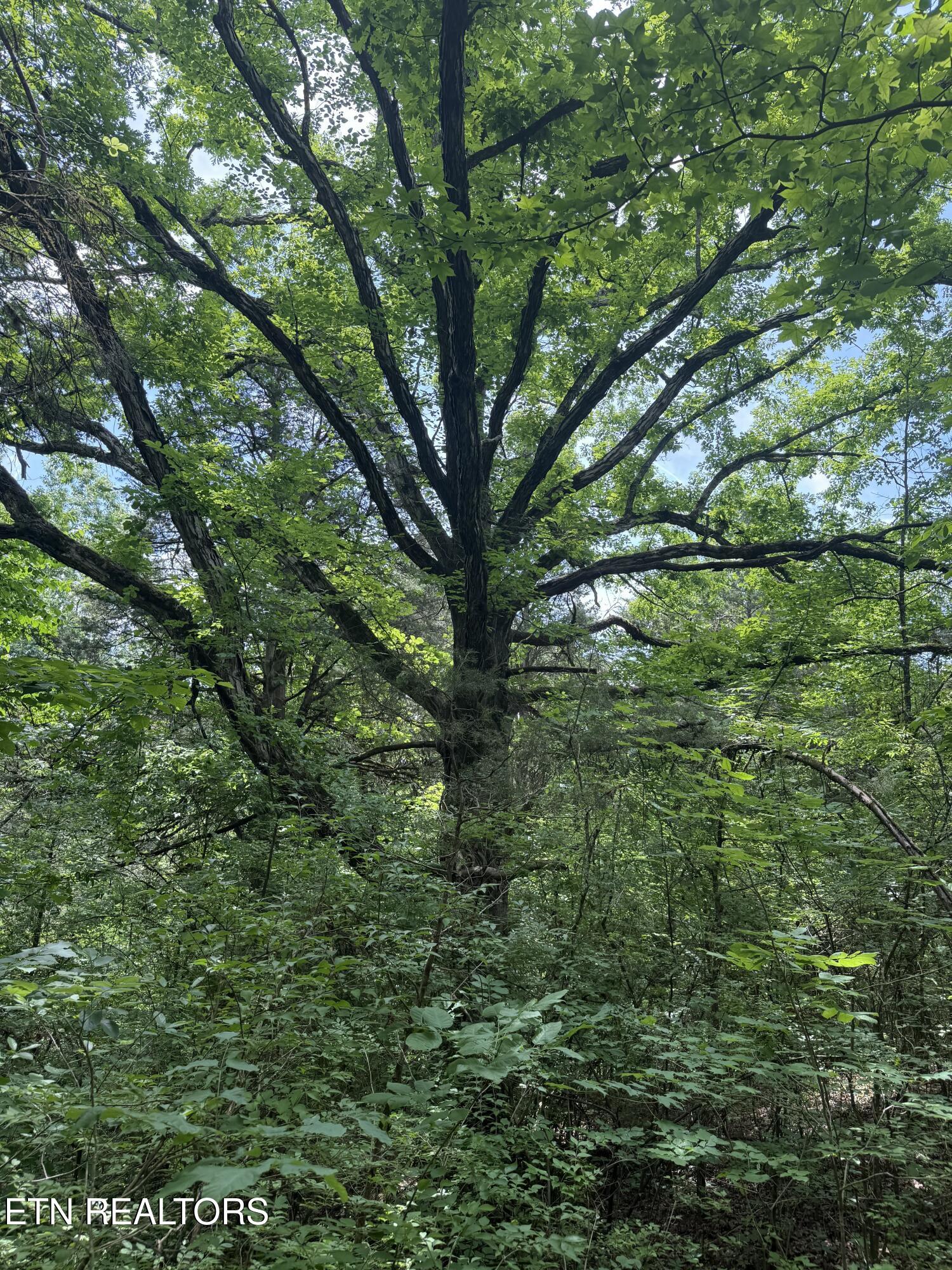 0 Thorngrove Pike Knoxville TN 37914