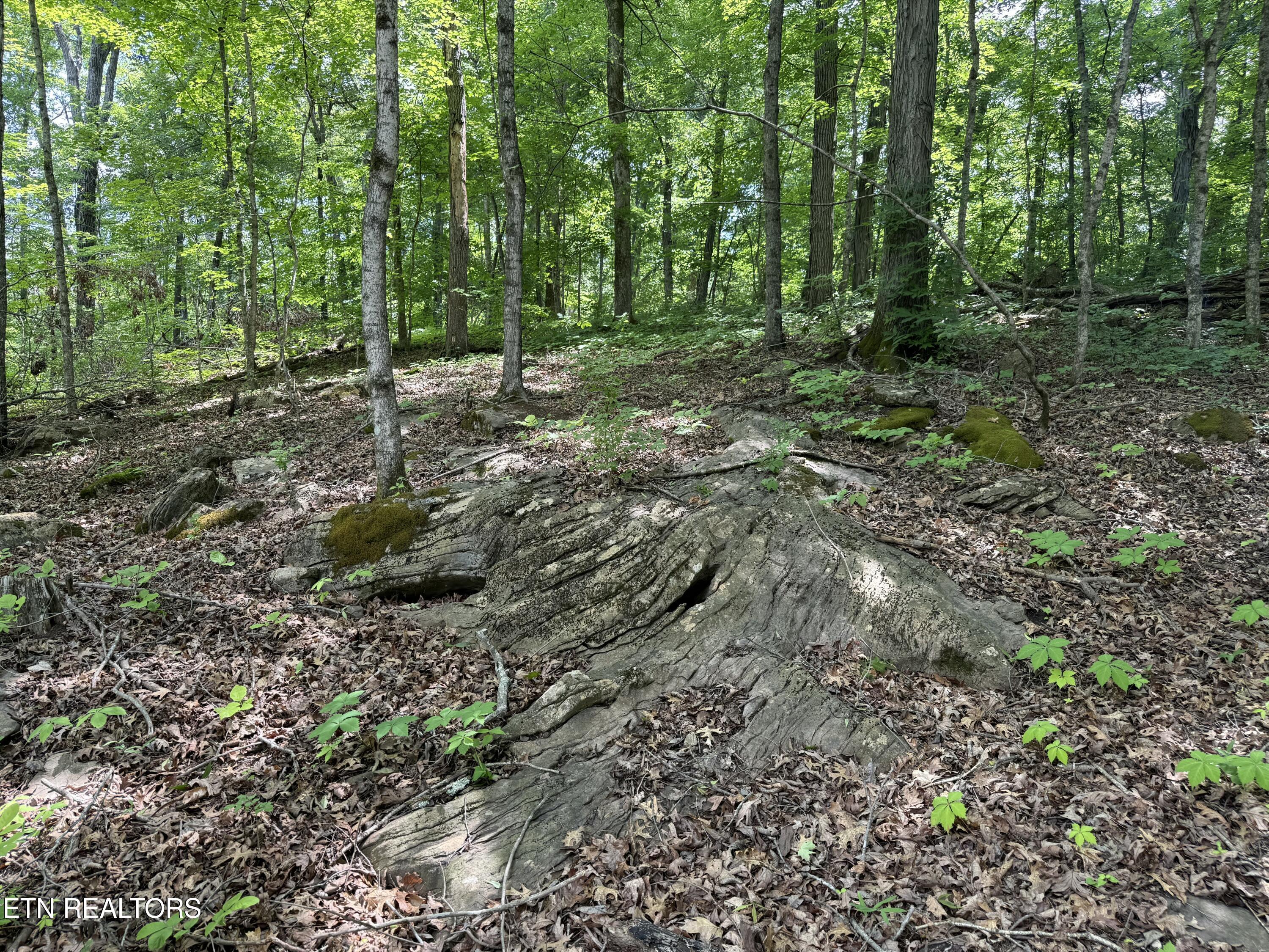 0 Thorngrove Pike Knoxville TN 37914