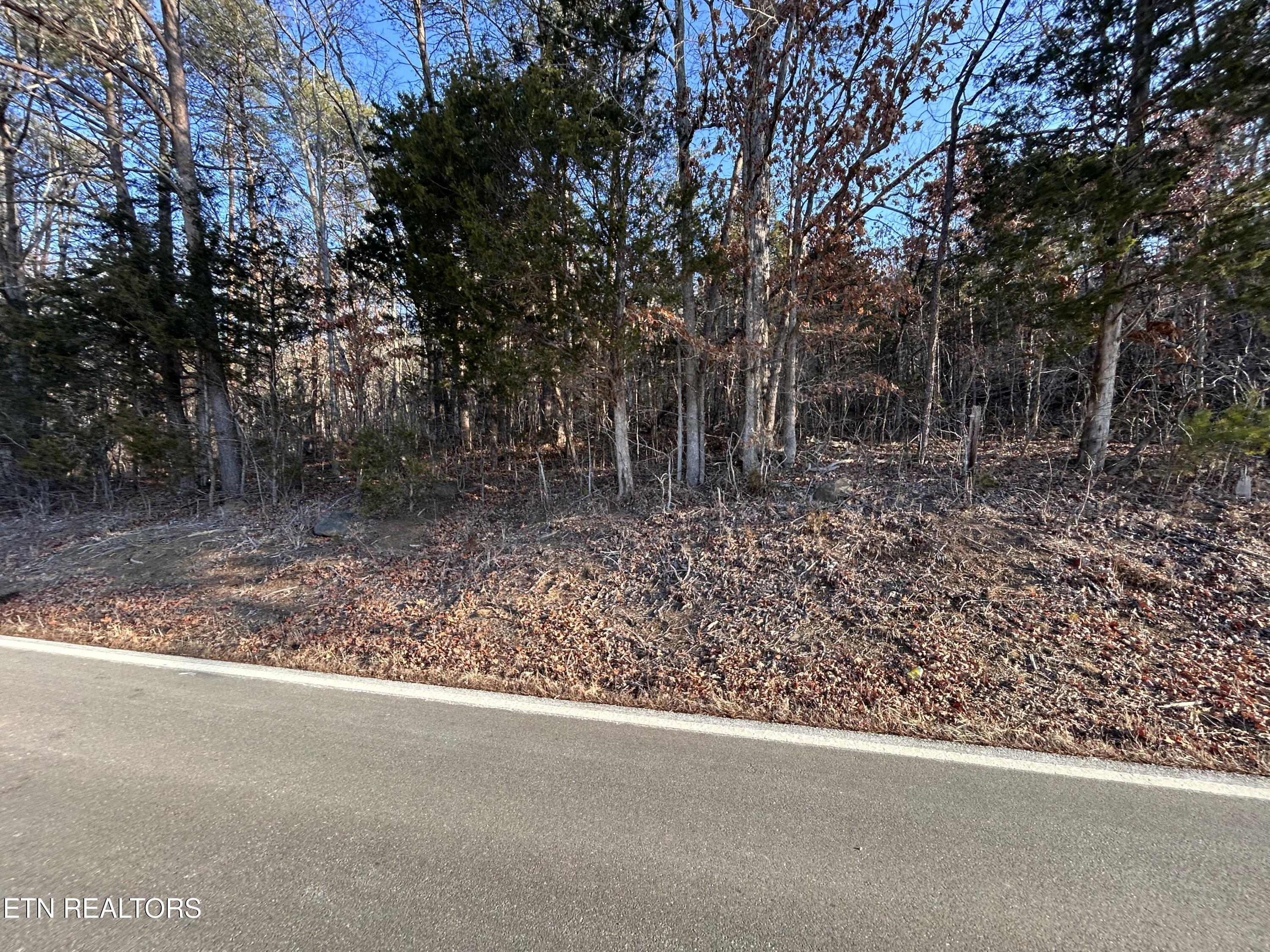 5 Acres N White Pine Road Talbott TN 37877
