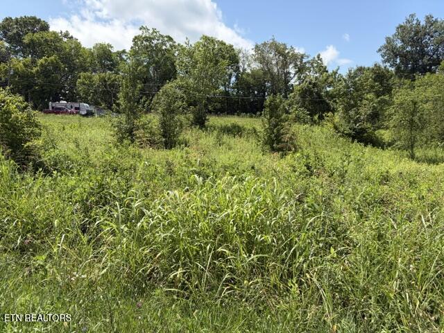 615 Green Hill Road Dandridge TN 37725