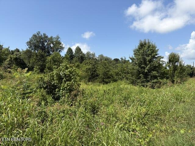 615 Green Hill Road Dandridge TN 37725