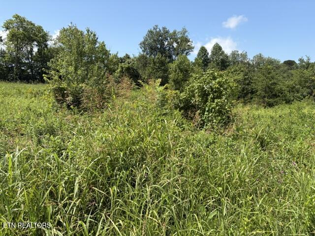 615 Green Hill Road Dandridge TN 37725