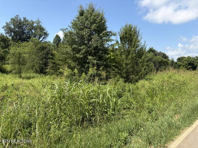 615 Green Hill Road Dandridge TN 37725