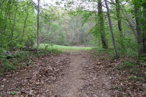 250 Mountain Side Lane Rocky Top TN 37769