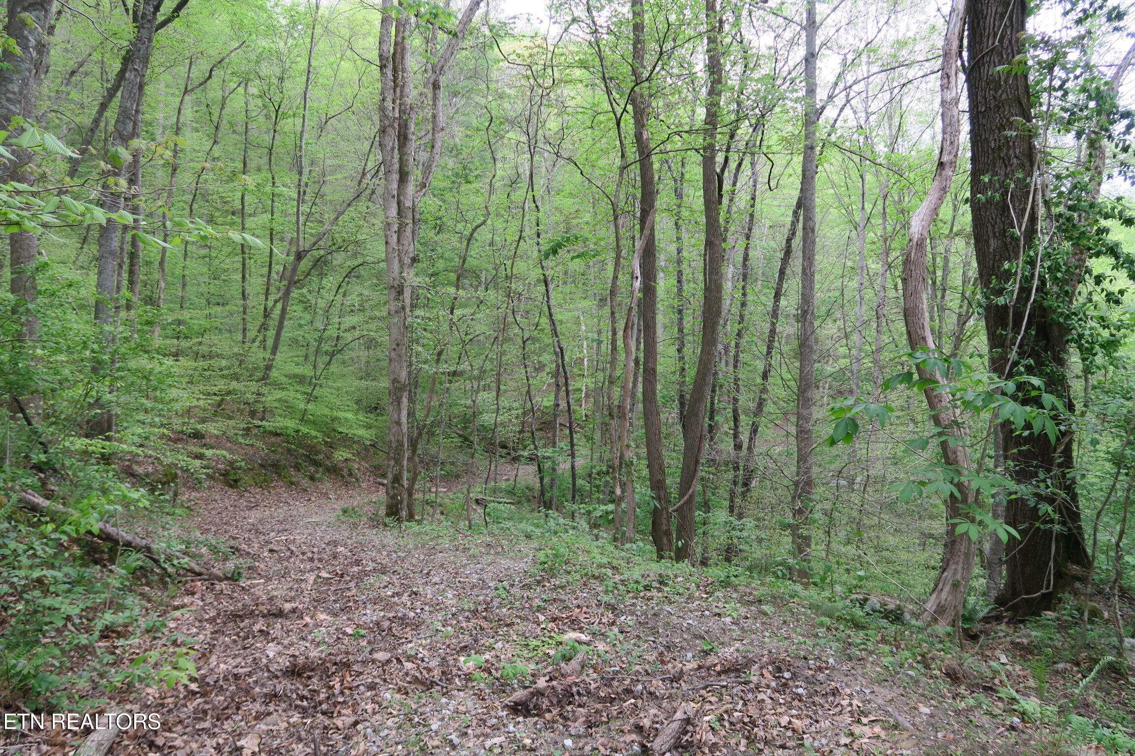 250 Mountain Side Lane Rocky Top TN 37769