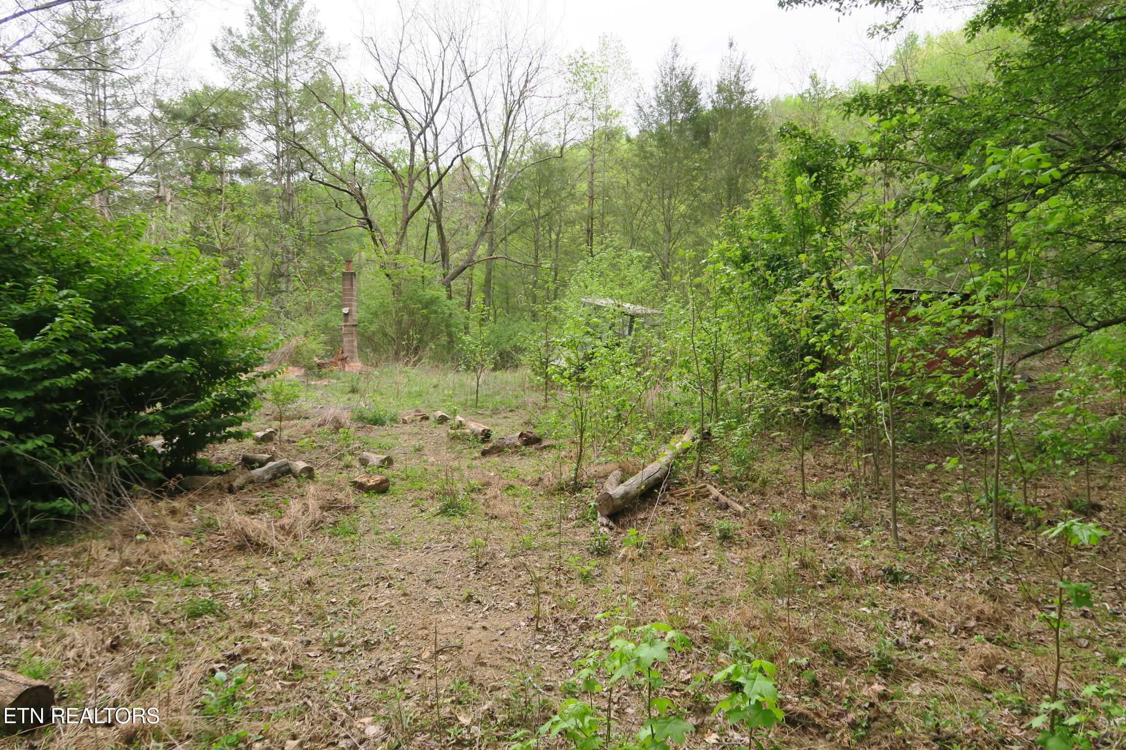 250 Mountain Side Lane Rocky Top TN 37769