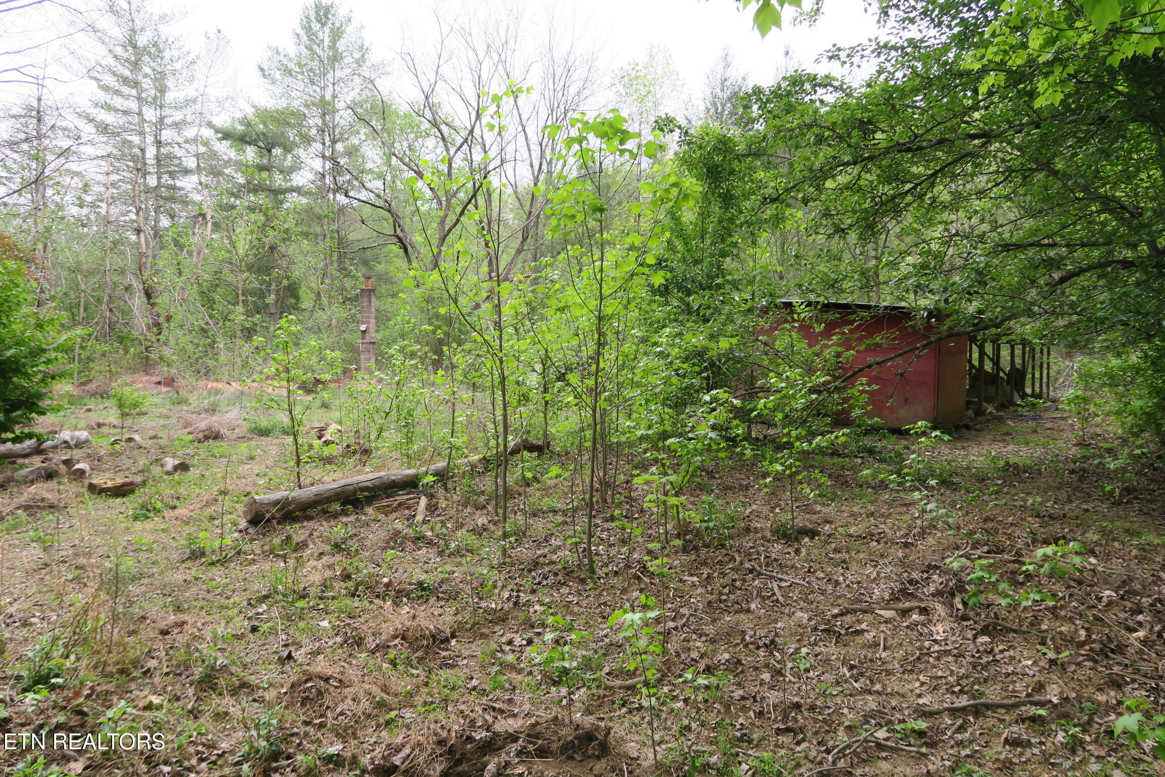 250 Mountain Side Lane Rocky Top TN 37769