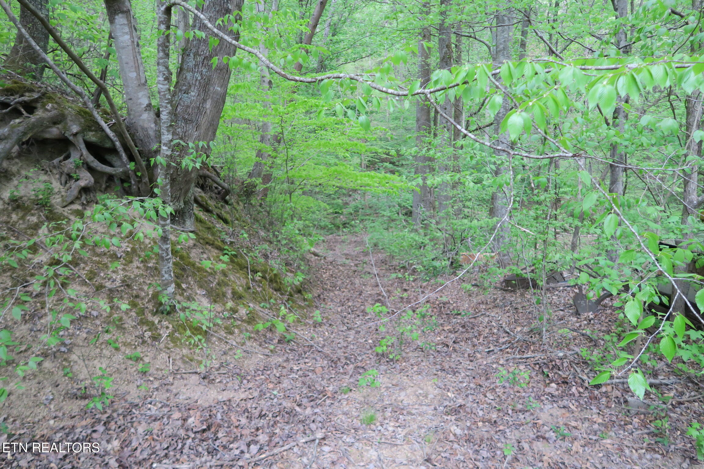250 Mountain Side Lane Rocky Top TN 37769