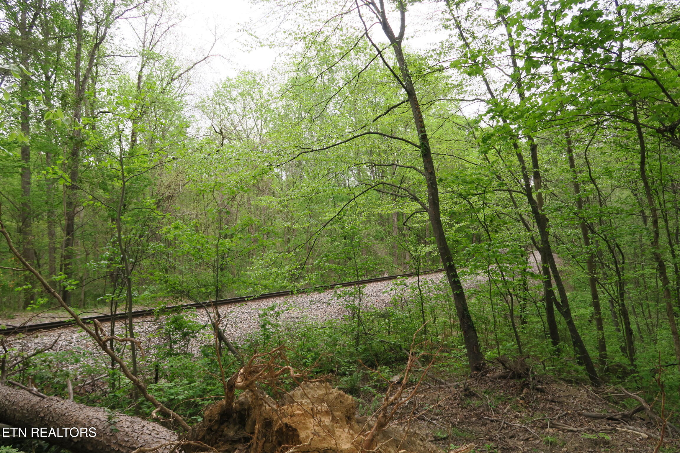 250 Mountain Side Lane Rocky Top TN 37769