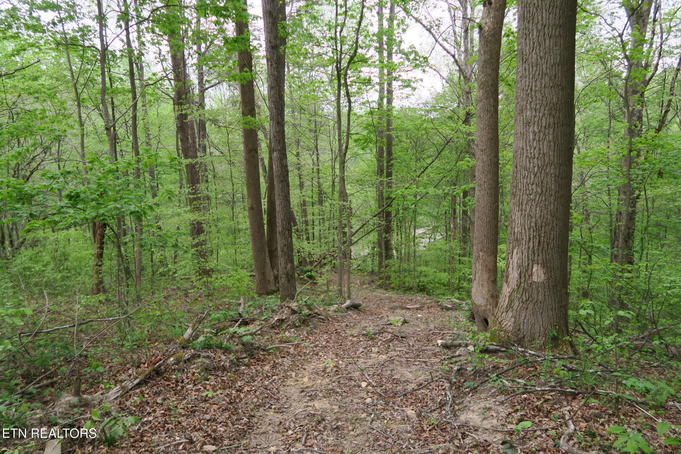 250 Mountain Side Lane Rocky Top TN 37769