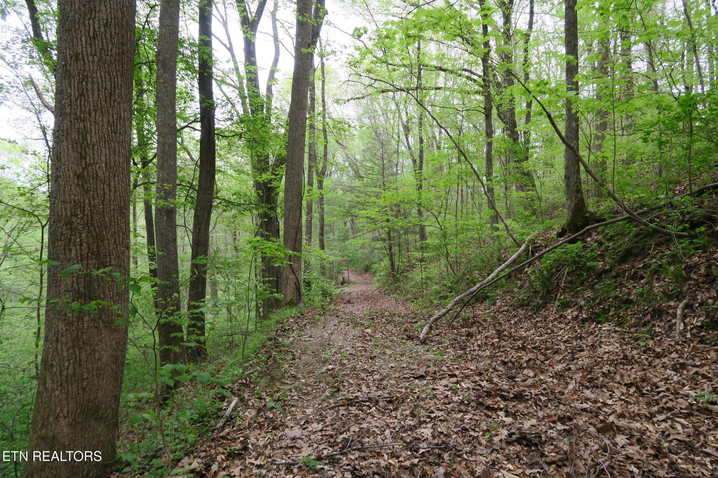 250 Mountain Side Lane Rocky Top TN 37769