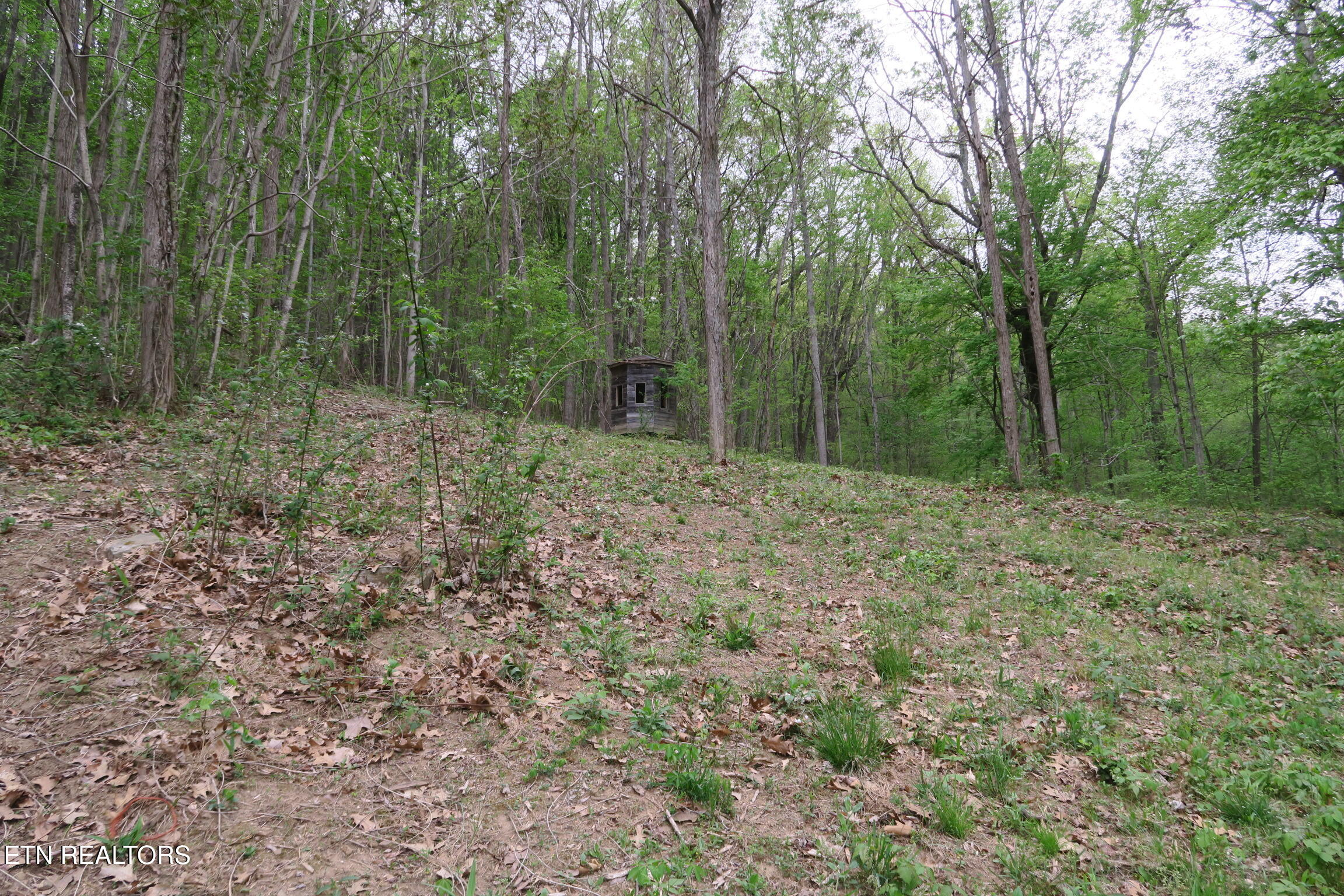 250 Mountain Side Lane Rocky Top TN 37769
