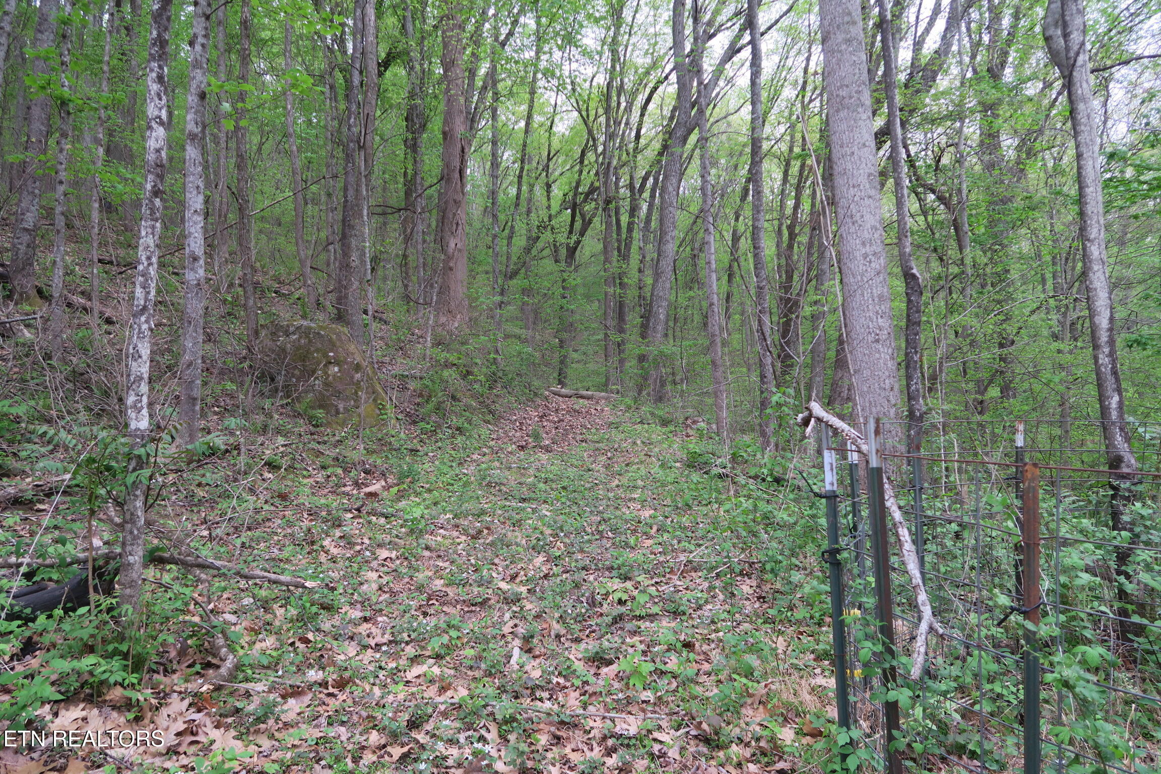 250 Mountain Side Lane Rocky Top TN 37769
