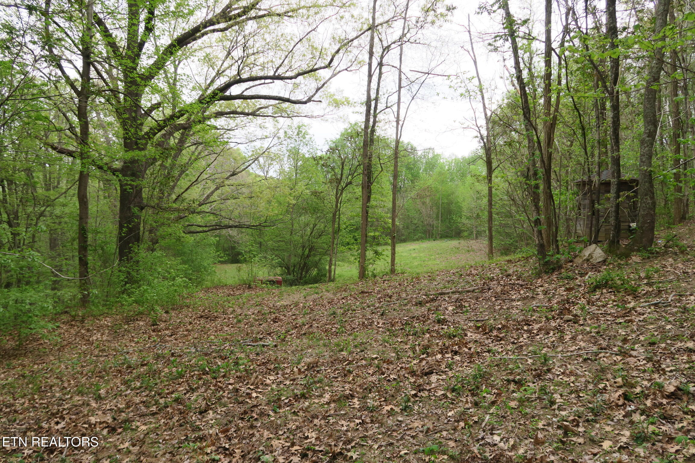 250 Mountain Side Lane Rocky Top TN 37769