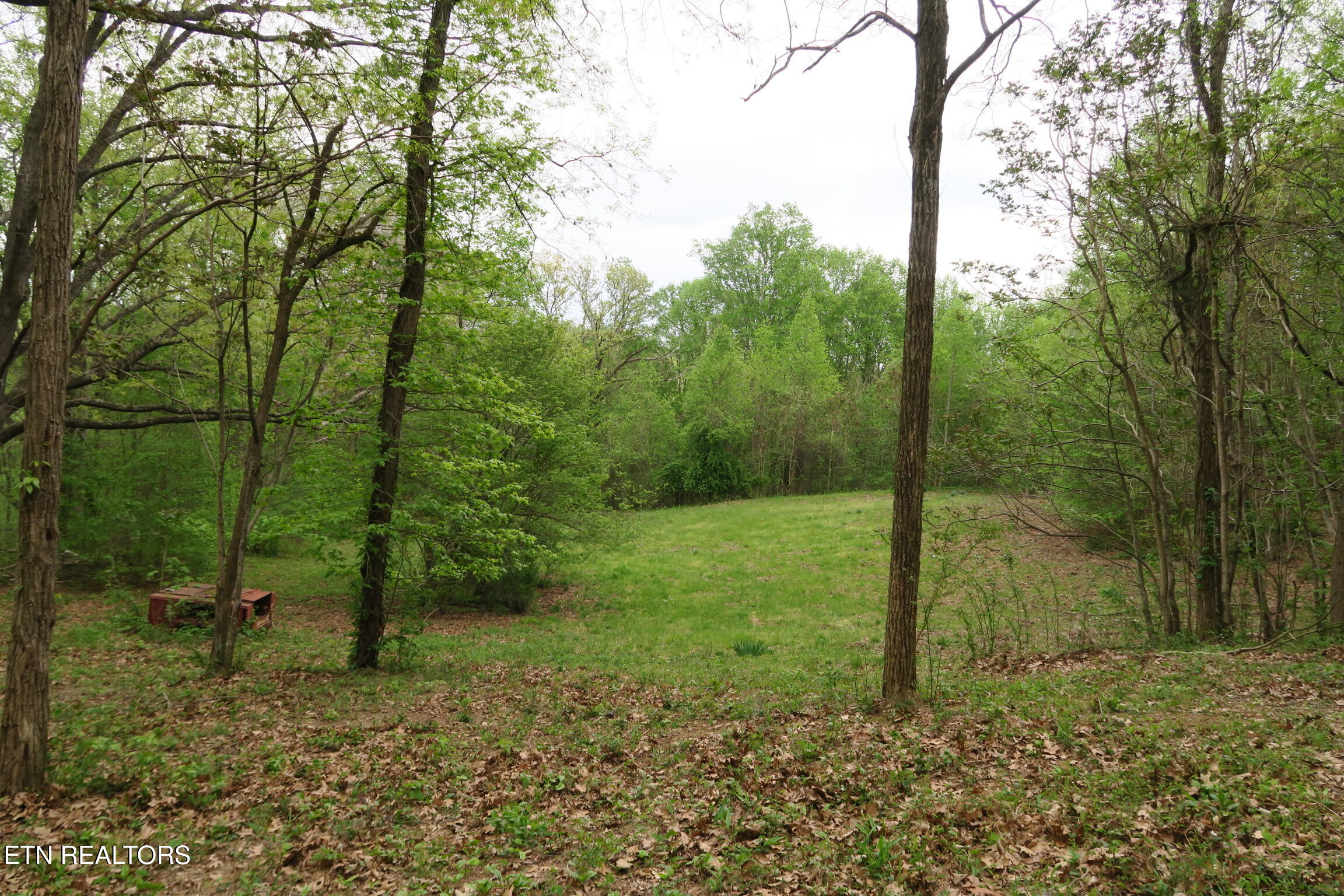 250 Mountain Side Lane Rocky Top TN 37769