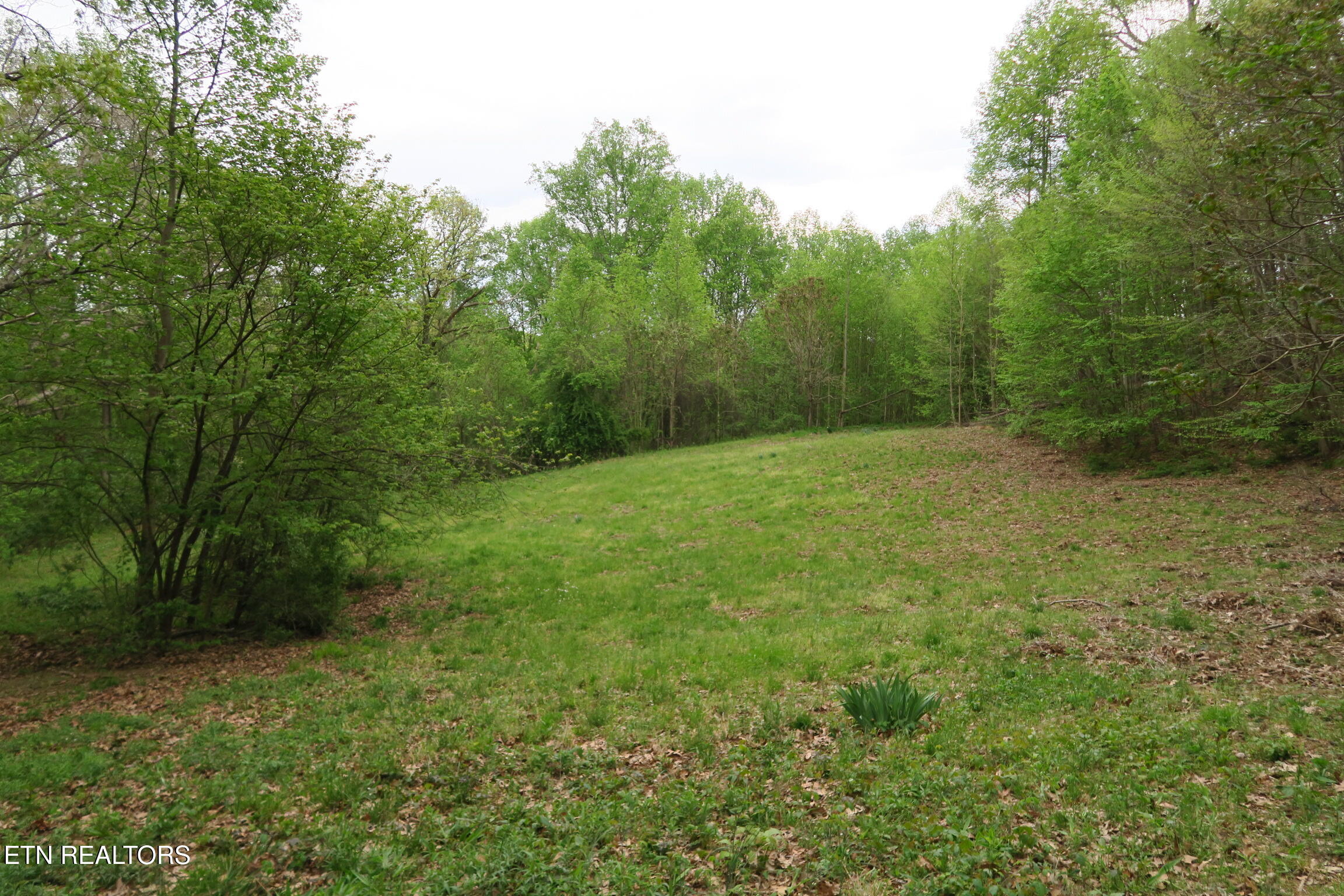 250 Mountain Side Lane Rocky Top TN 37769