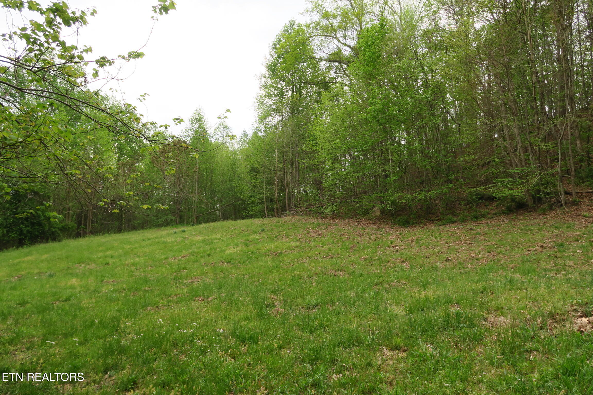 250 Mountain Side Lane Rocky Top TN 37769