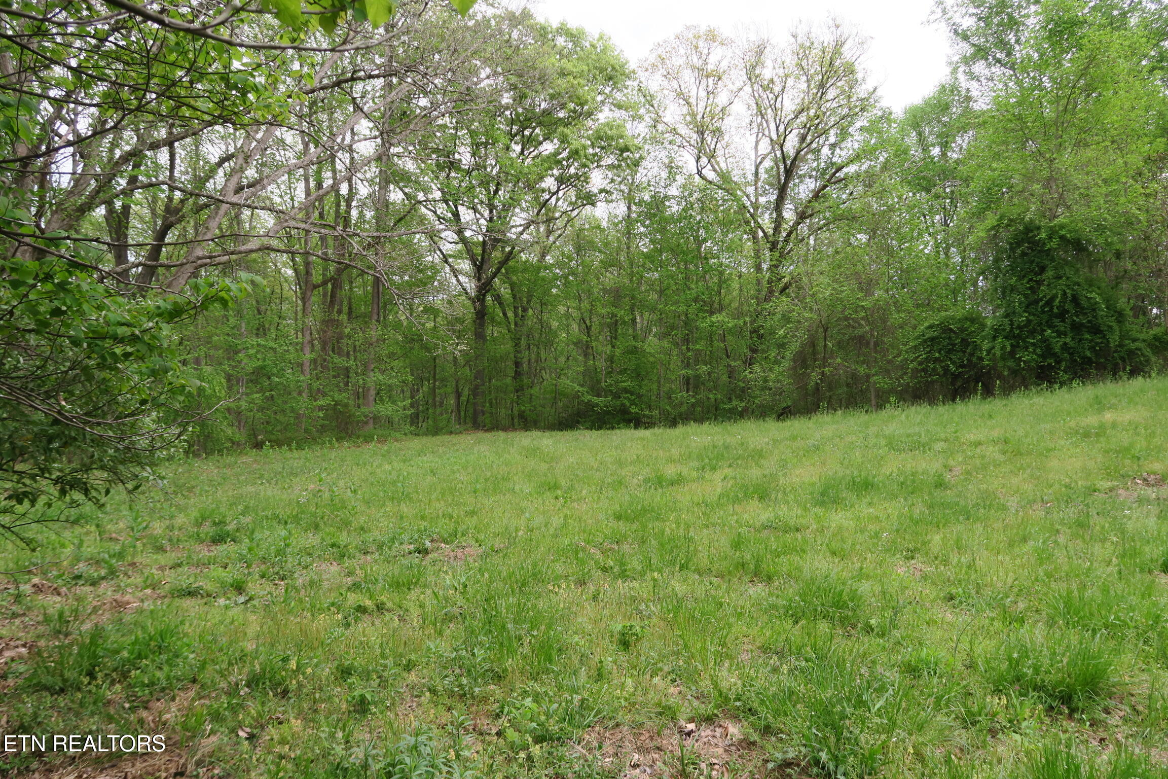 250 Mountain Side Lane Rocky Top TN 37769