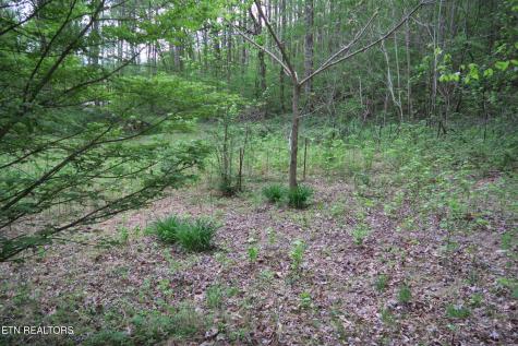 250 Mountain Side Lane Rocky Top TN 37769