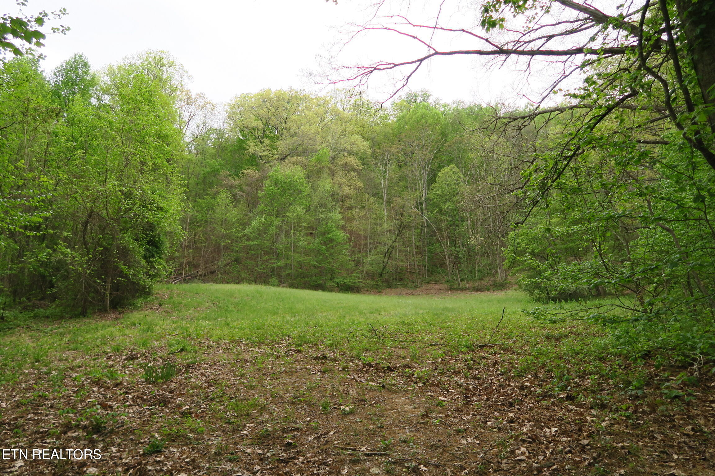 250 Mountain Side Lane Rocky Top TN 37769
