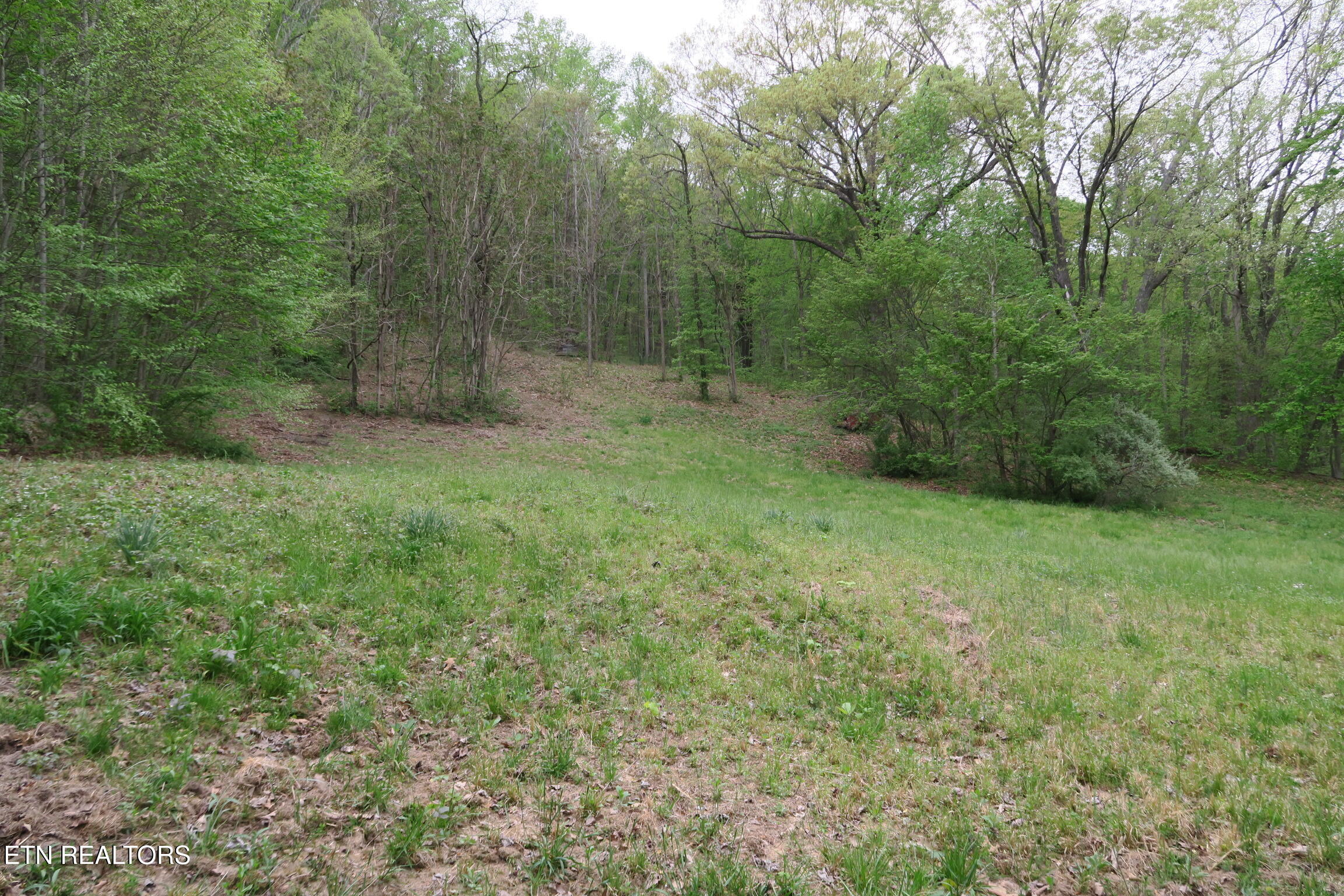 250 Mountain Side Lane Rocky Top TN 37769