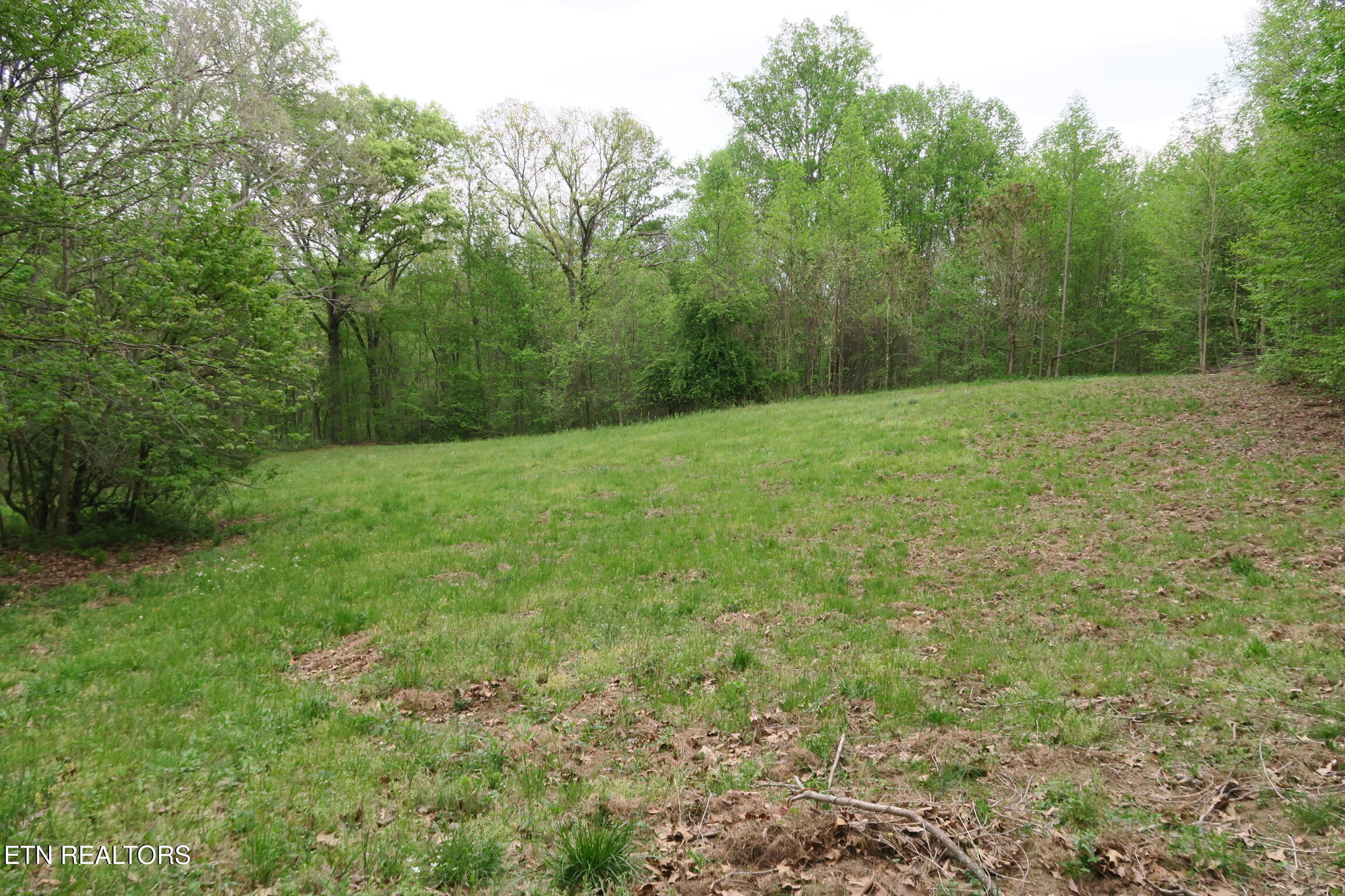 250 Mountain Side Lane Rocky Top TN 37769