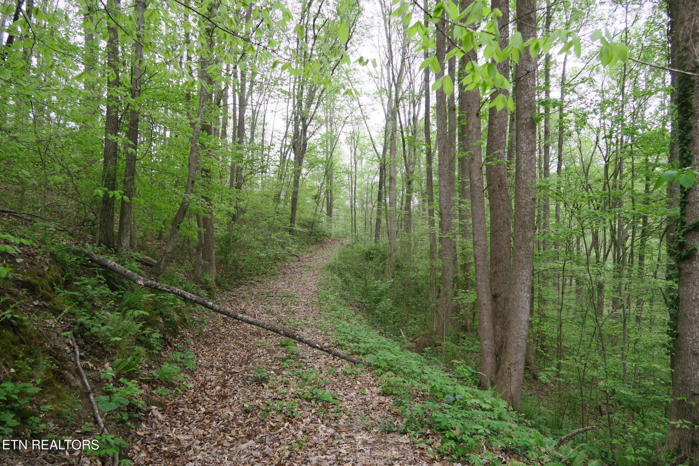 250 Mountain Side Lane Rocky Top TN 37769