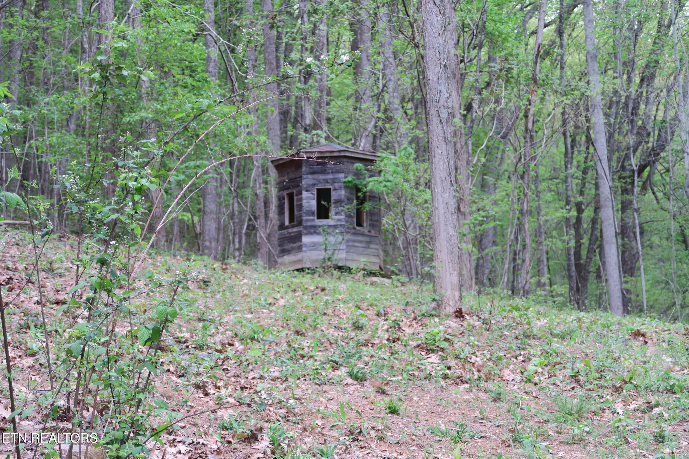 250 Mountain Side Lane Rocky Top TN 37769