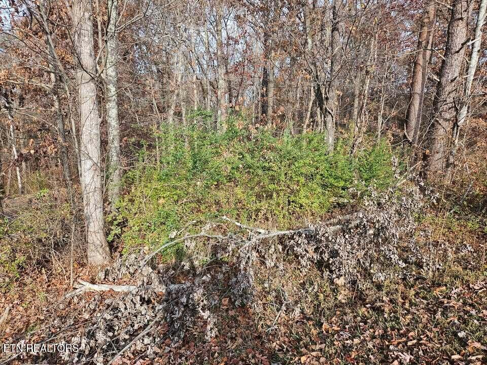 Lots 29/30 Smyrna Heights Evensville TN 37332