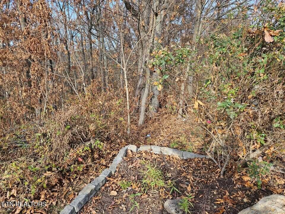 Lots 29/30 Smyrna Heights Evensville TN 37332