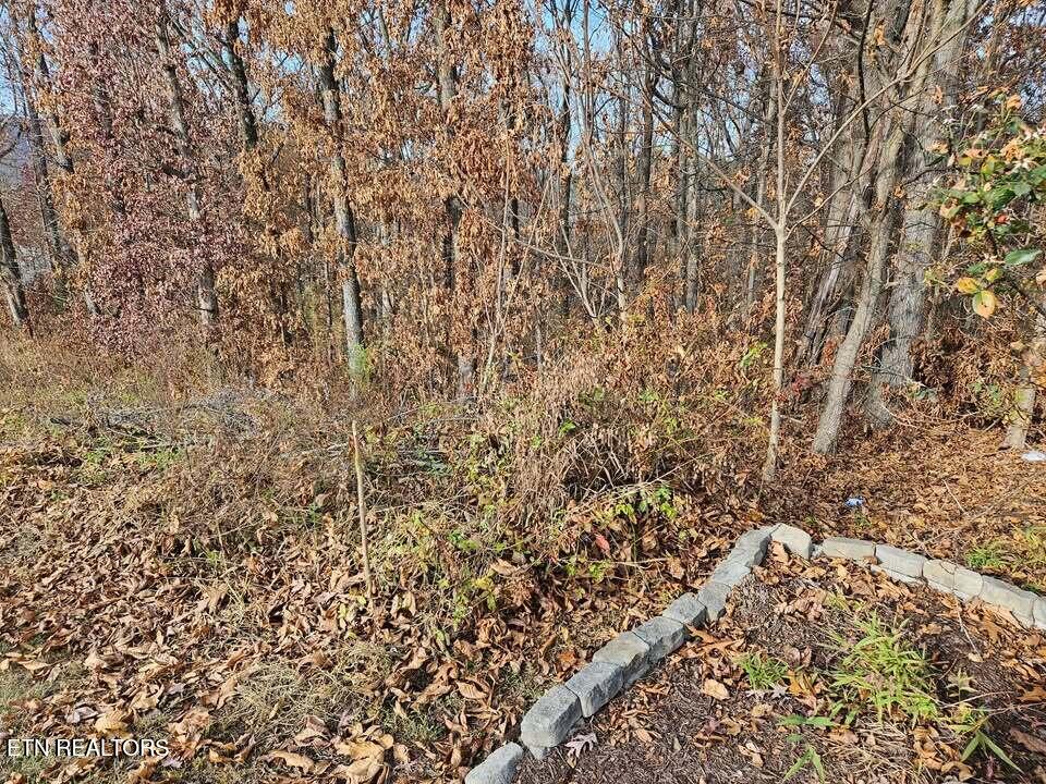 Lots 29/30 Smyrna Heights Evensville TN 37332