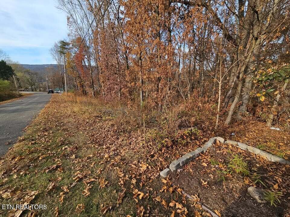 Lots 29/30 Smyrna Heights Evensville TN 37332