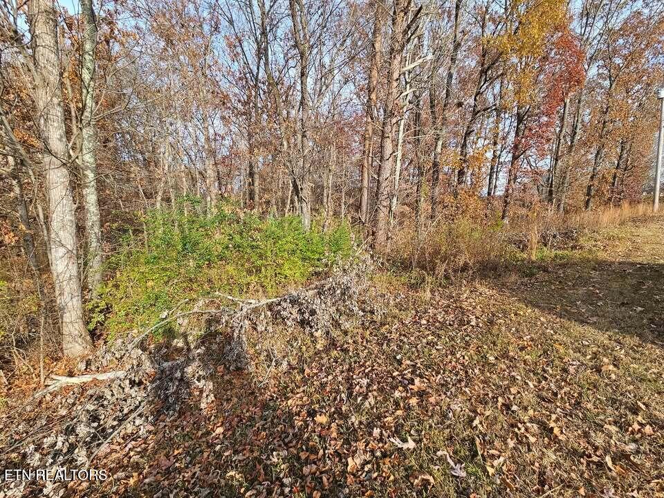 Lots 29/30 Smyrna Heights Evensville TN 37332