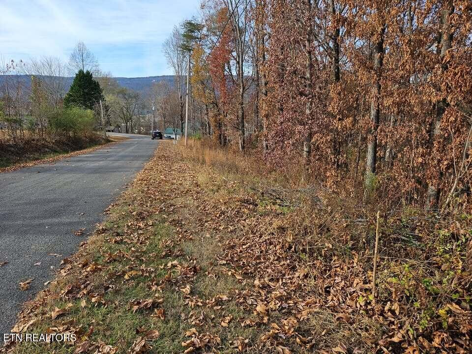 Lots 29/30 Smyrna Heights Evensville TN 37332