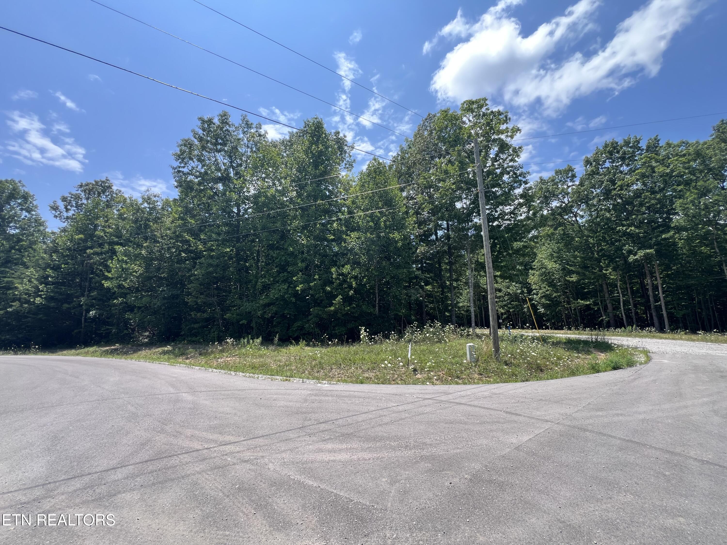 Lot 202 Elzies Way Grimsley TN 38565