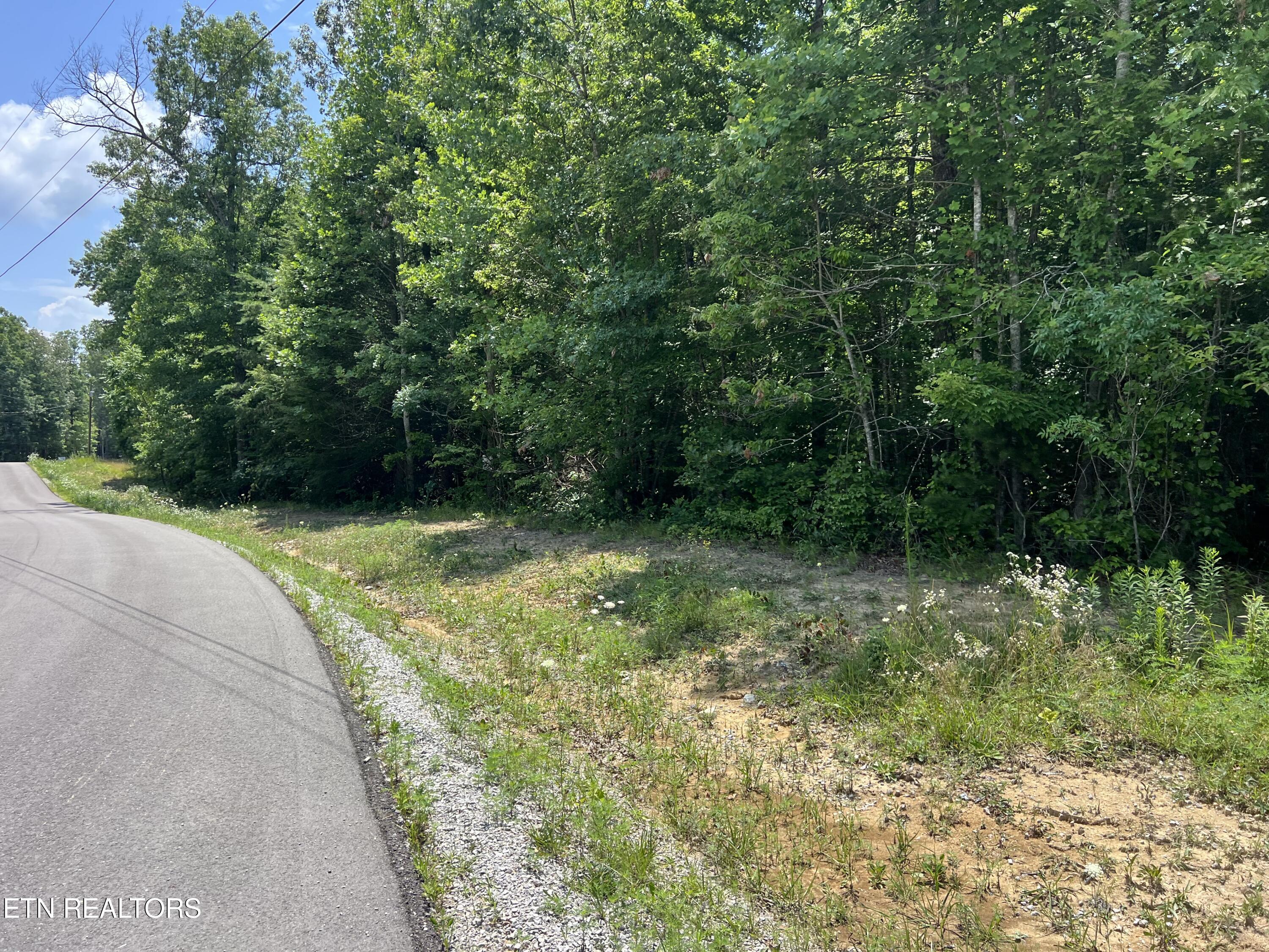 Lot 202 Elzies Way Grimsley TN 38565