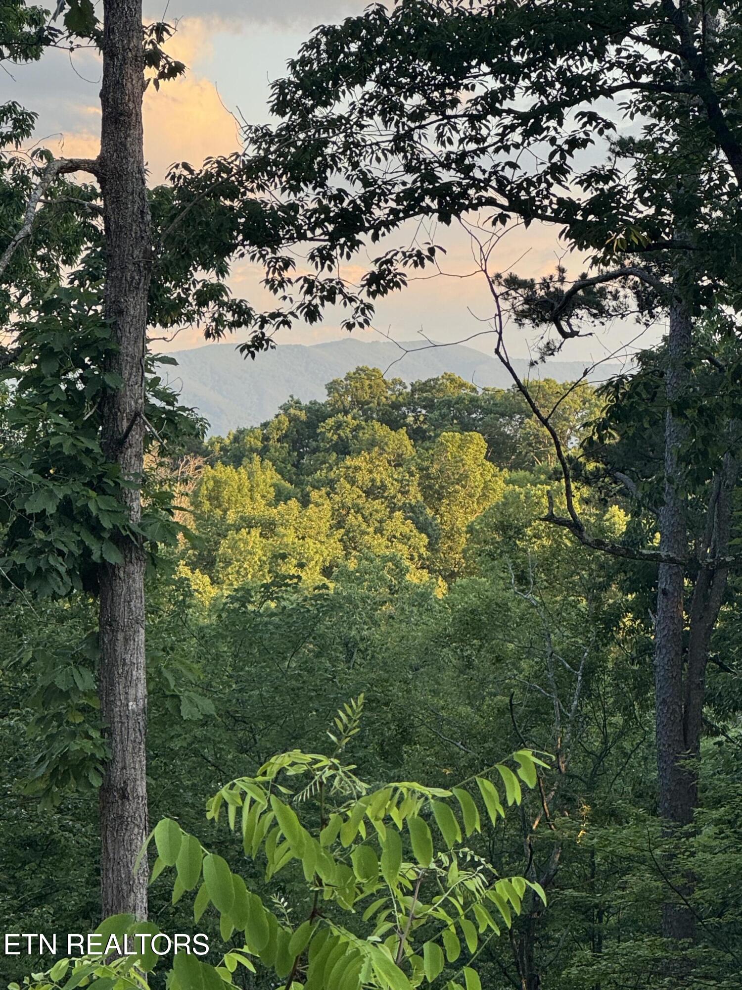Iron Gate Drive Baneberry TN 37890