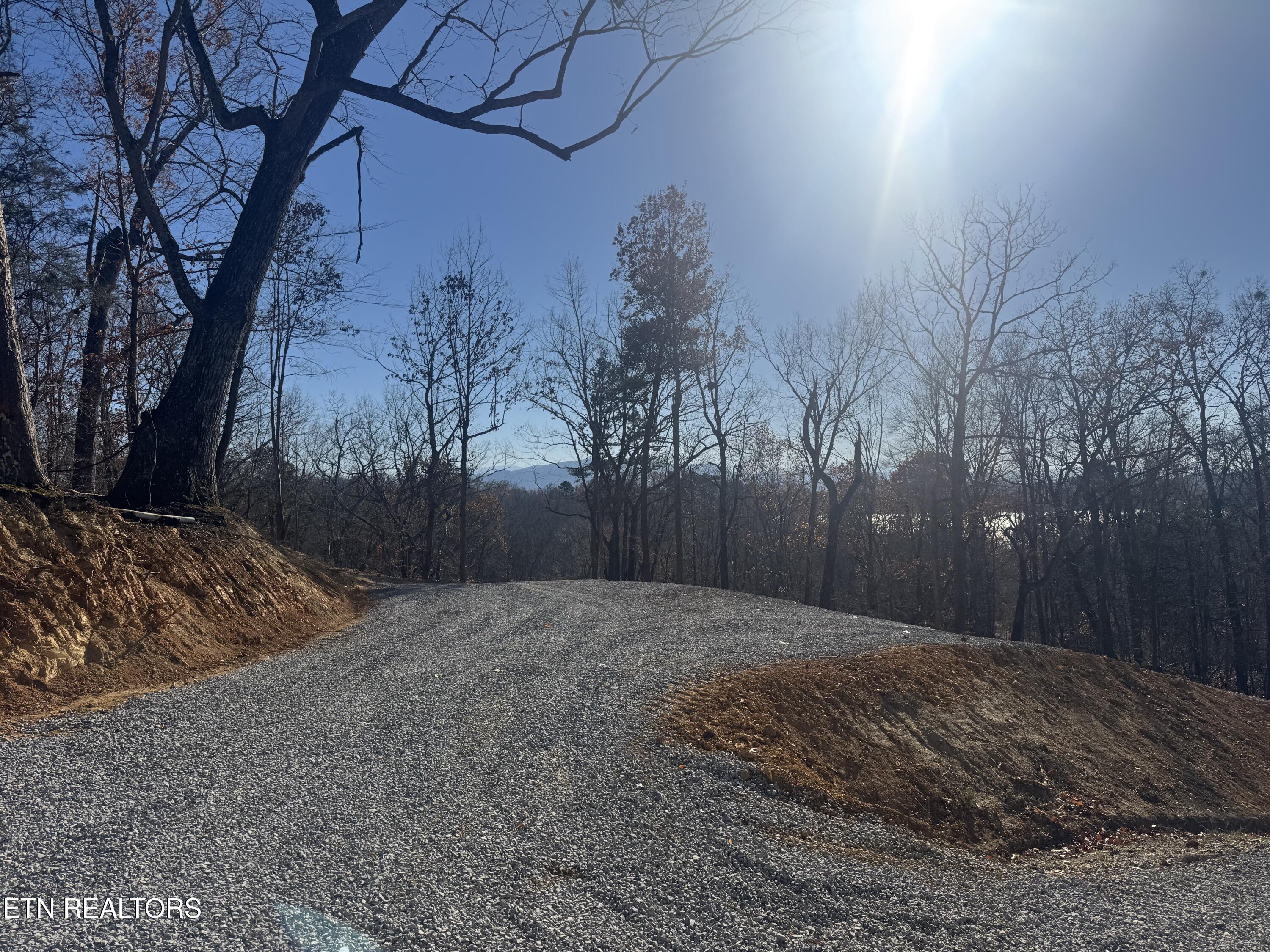Iron Gate Drive Baneberry TN 37890