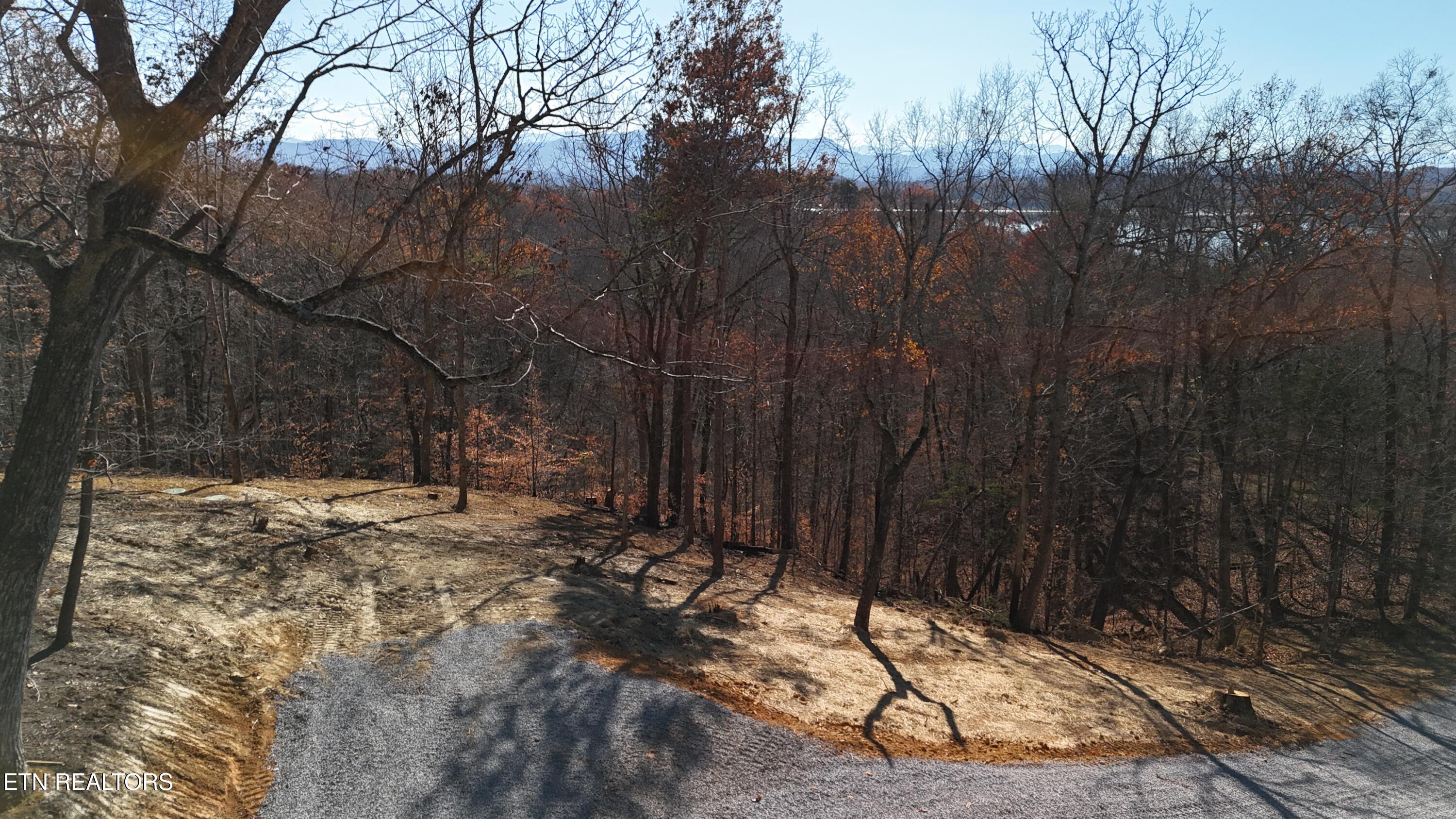 Iron Gate Drive Baneberry TN 37890