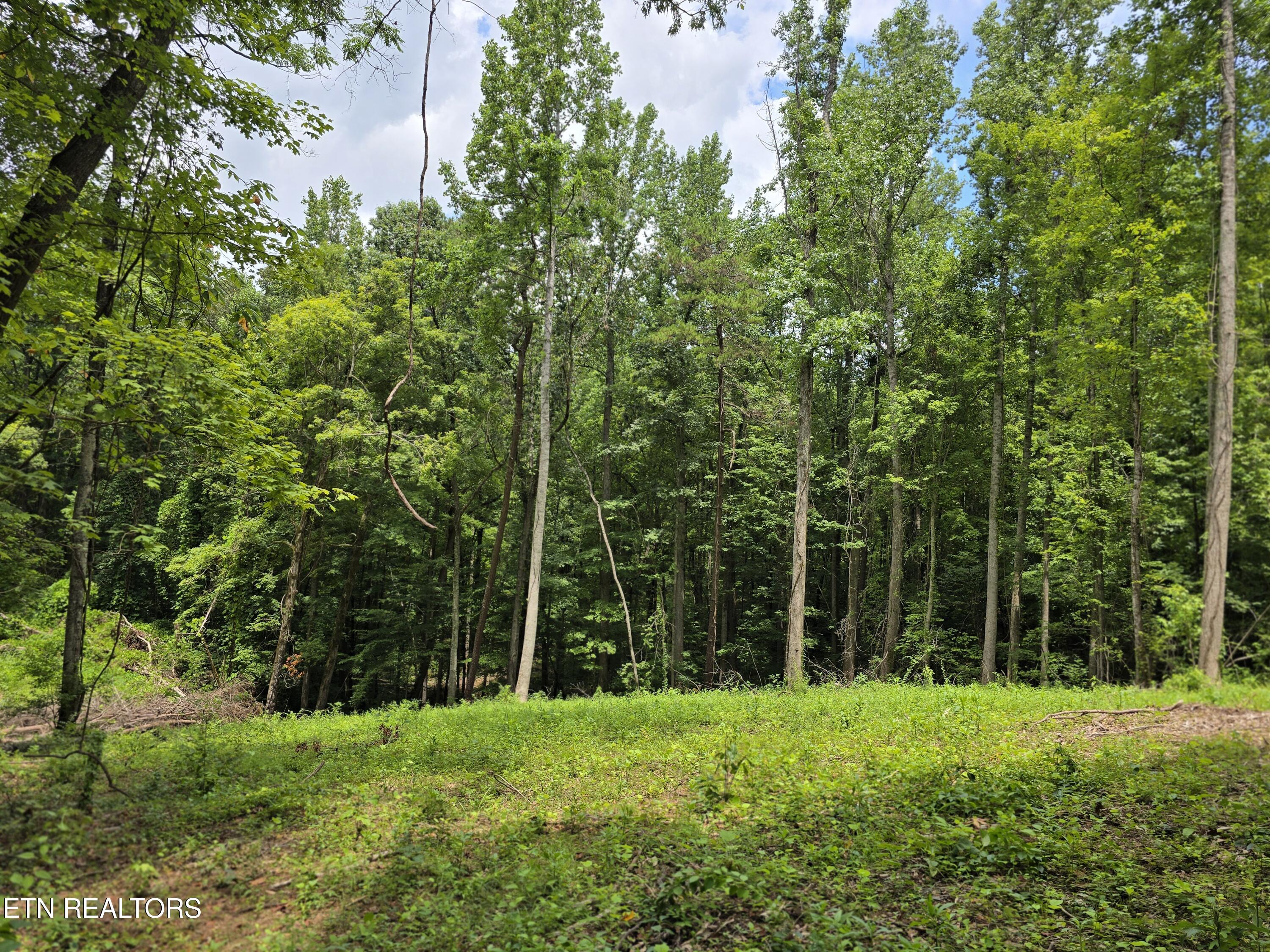 278 Norman Road Powell TN 37849